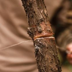 AIDUCHO 2 Pack Survie En Acier Inoxydable Main Poche Fil Scie Extérieure D'urgence De Sauvetage Gear Kit Pour Camping Randonnée Chasse -Outlet Scie à main et lames de scie Store 37830941 3