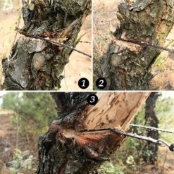 MODOU Scie à Fil Portable Extérieure Tirée à La Main Camping Poche Survie Tronçonneuse Jardin Scie à Main EDC Scie à Main Outil-scie Forte Dents Pointues Camping Randonnée Chasse Jardinage Extérieur D'urgence Noir -Outlet Scie à main et lames de scie Store 60361632 5